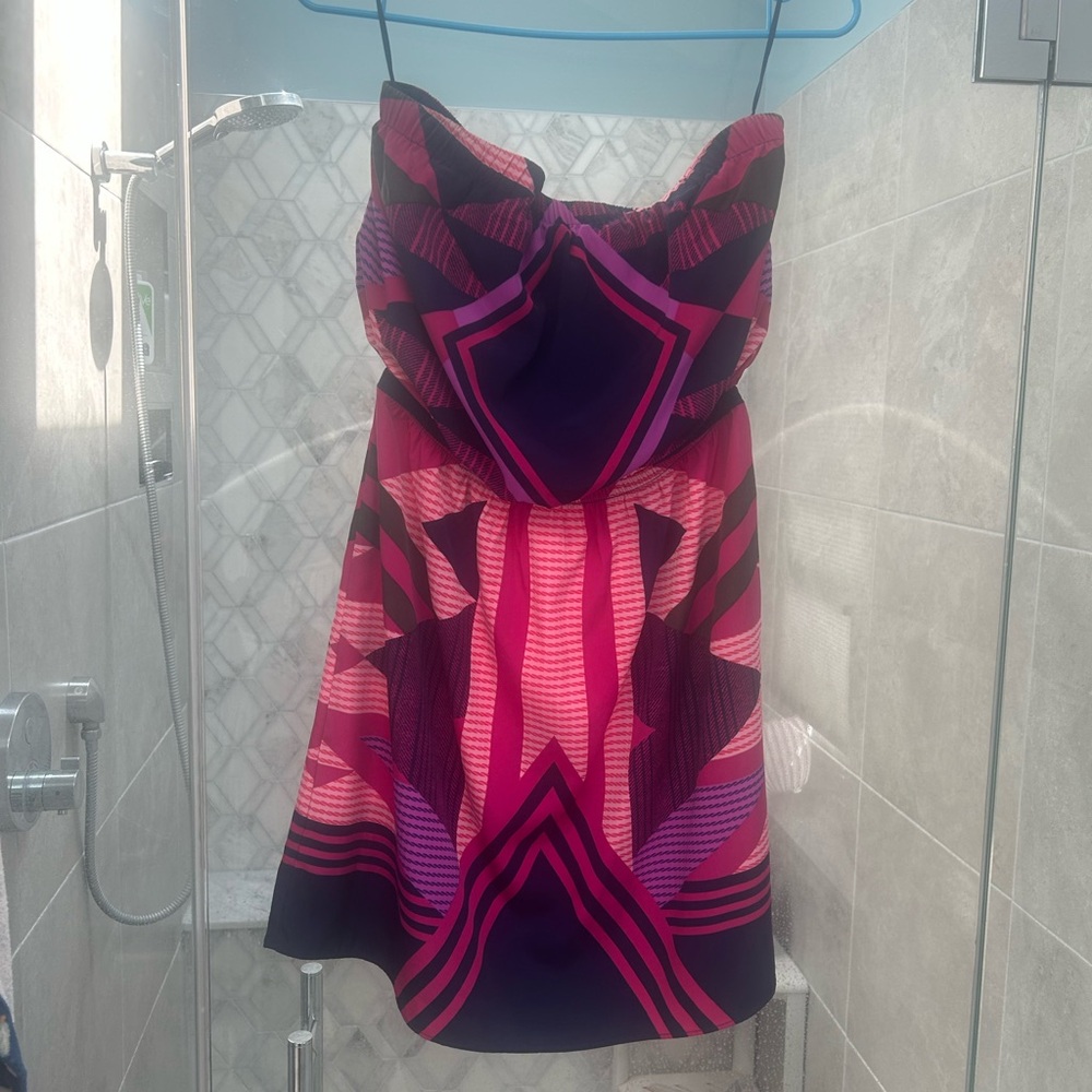 Express Blue and Pink Garment